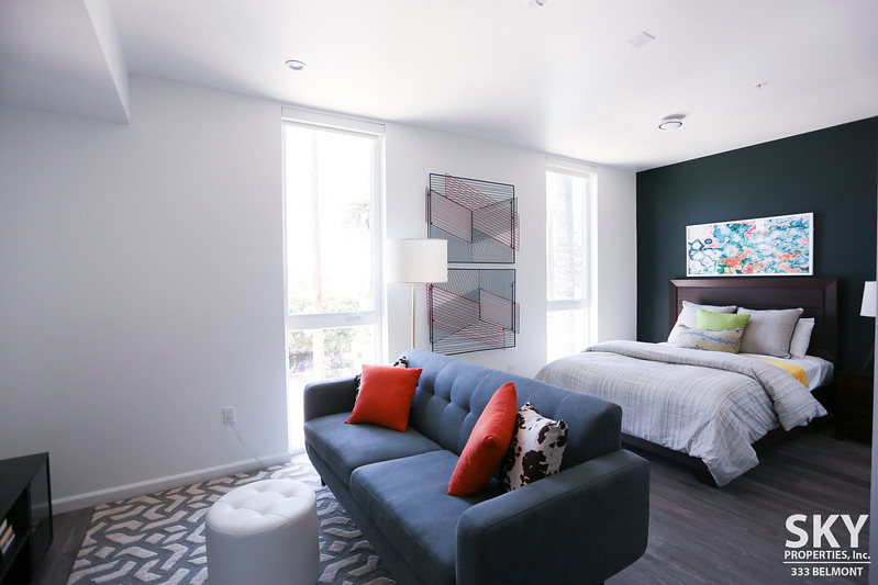 Luxury Studio Apartments | Rooftop Lounge with Spa| Blocks to Echo Park Lake | Pet Friendly | Central Air, All Appliances, In-unit W/D and Parking Included!